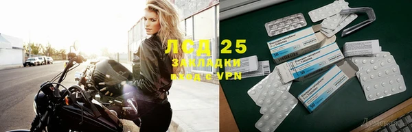 сатива Абинск