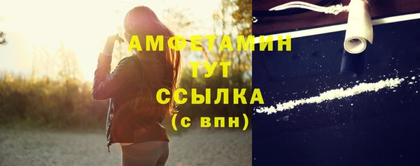 сатива Абинск