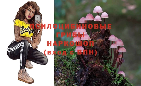 сатива Абдулино