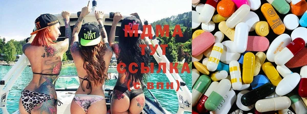 сатива Абинск