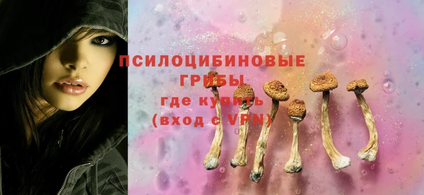сатива Абдулино