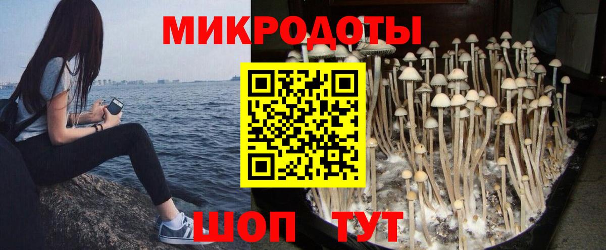 Псилоцибиновые грибы мухоморы  где можно купить   Вход с VPN  Екатеринбург  Псилоцибиновые грибы Psilocybe 